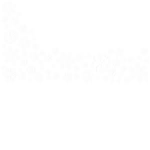 테스트용 그룹00