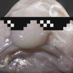 the blobfish bois