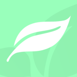 Mint Bank