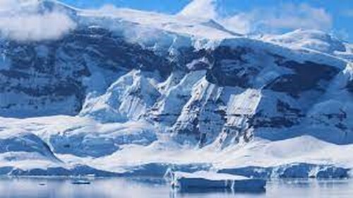 Antarctica Life Simulator - Global Warming Future