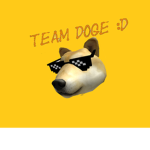 DogeSkrubz Team