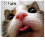 Dobesrbx