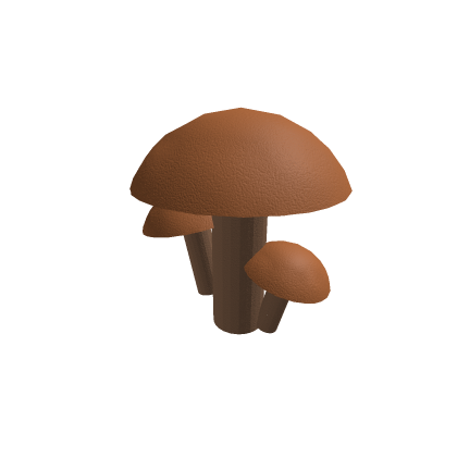  brown mushrooms