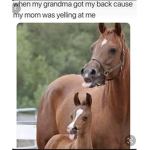 Giv robux lol
