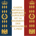Empire Français | Vieille Garde.