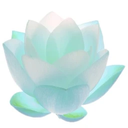 自然⋆ ˚｡ icon