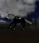Happy hooves rescue ranch