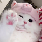 ୨ৎ Foreign Emotes ୨ৎ