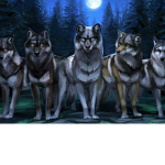 Artic animal welcoming squad