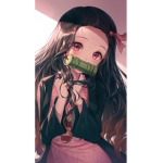 Groupe de fan de nezuko