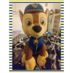 Paw patrol pups team clan