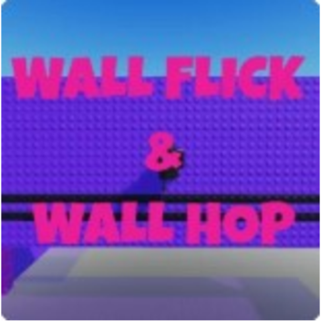 wall hop & fladder flick practice