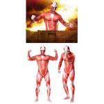 Aot: Hopes Not Lost