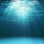 Aquaforge Studios