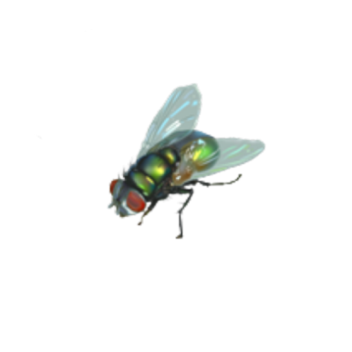 MM2 NPC: UPDATES SERVER