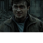 Harry Potter fans only group