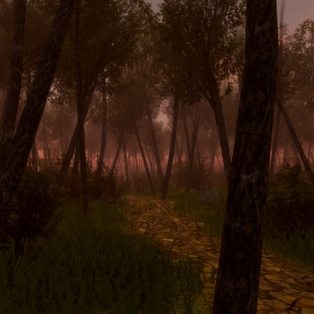 Forest Showcase
