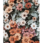 starflxers