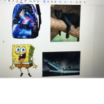 Titanic/Black Panther /Preston/Sponge Bob