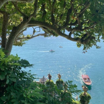 Tropical Life <3