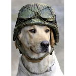 Dogs United army