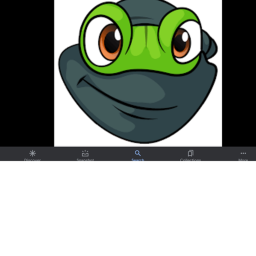 Frog ninja
