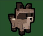 The Raccoon Gng