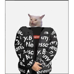 Clothes for everyone yes