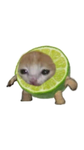 sour.as.lime