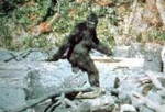 Bigfoot rp