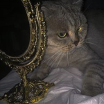 G0ULZ