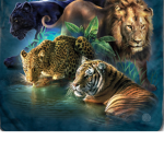 Animal rescue Association