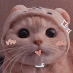 𝙹𝚞𝚕𝚒𝚎𝚜 𝚎𝚟𝚎𝚗𝚝𝚜!