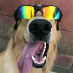 Criar gruoo