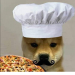THE CHEF DOGE GROUP