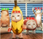 张御风凌霄盟