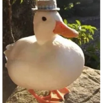 #### ##### !