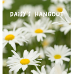 - daisy's hangout