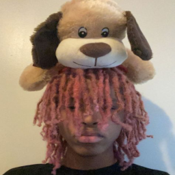 prettifun obby