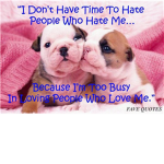 THE AWESOME ANIMAL LOVERS