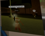 Nostalgic Roblox Designs Co.