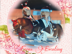 ~•Ferns Eventing•~
