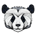 The Panda Masters