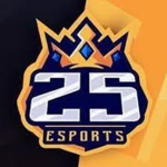 25Esports Store