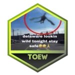 Beat The Tower of Excessive Weirdness Roblox badge thumbnail