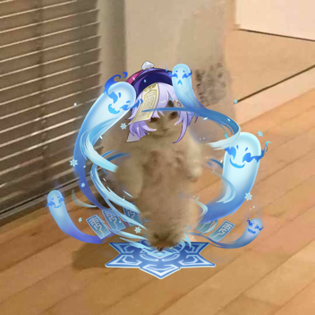 Qiqi Burst