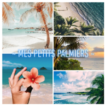 ~mes petits palmiers~