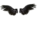 ▬▬▬ 🌺 Wings Clothing 🌺 ▬▬▬