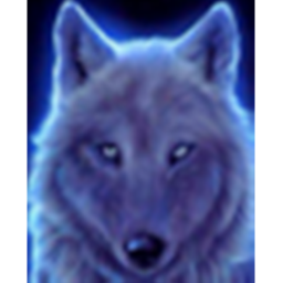 Wolfs are amazing's Place