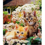 Gatitos lindos